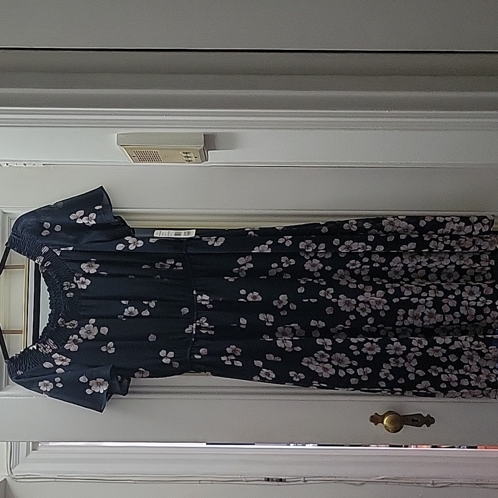 Sandra Darren Blue Dress With Pink Flowers Sz10 NWT